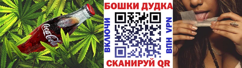 Canna-Cookies конопля  блэк спрут рабочий сайт  Новокузнецк  магазин   