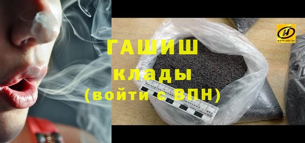 гидра Абаза