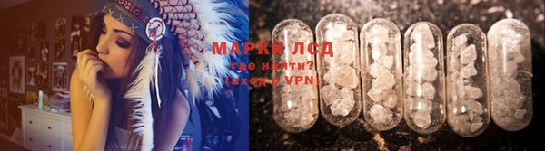 гидра Абаза