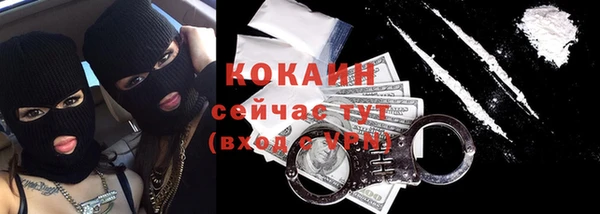 гидра Абаза