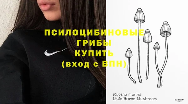 молекула духа Абдулино