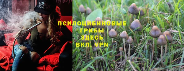 гидра Абаза