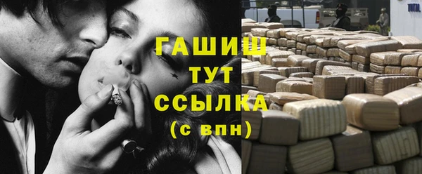 гидра Абаза