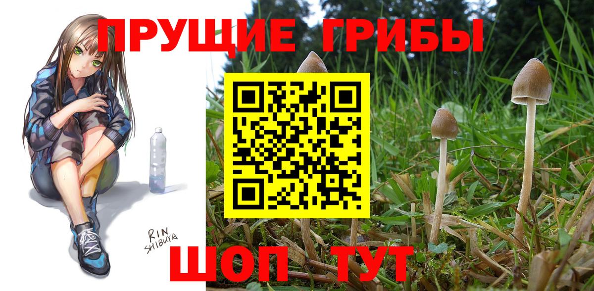 наркошоп  Вход с VPN  Новокузнецк  Галлюциногенные грибы Cubensis 