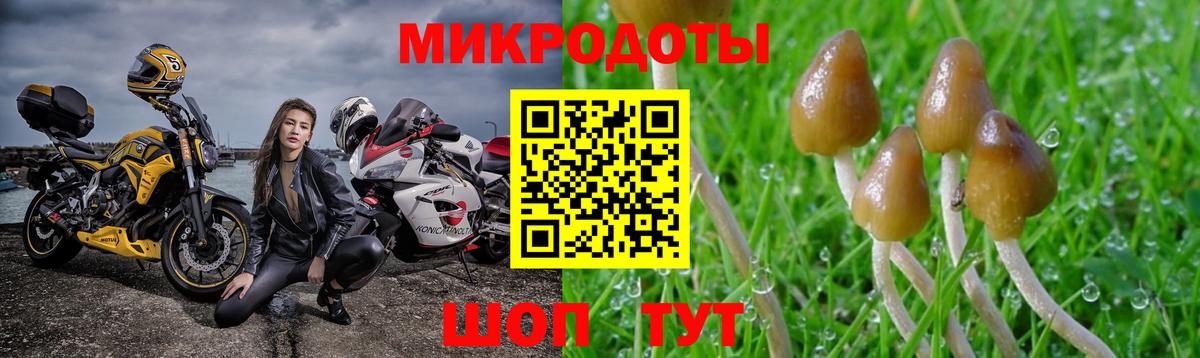 Псилоцибиновые грибы ЛСД Новокузнецк